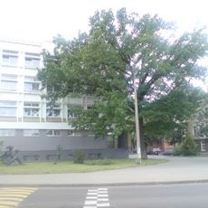 Будынак Магілёўскага кадэцкага вучылішча