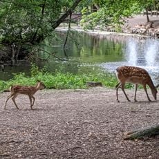 Tierpark Rheingönheim