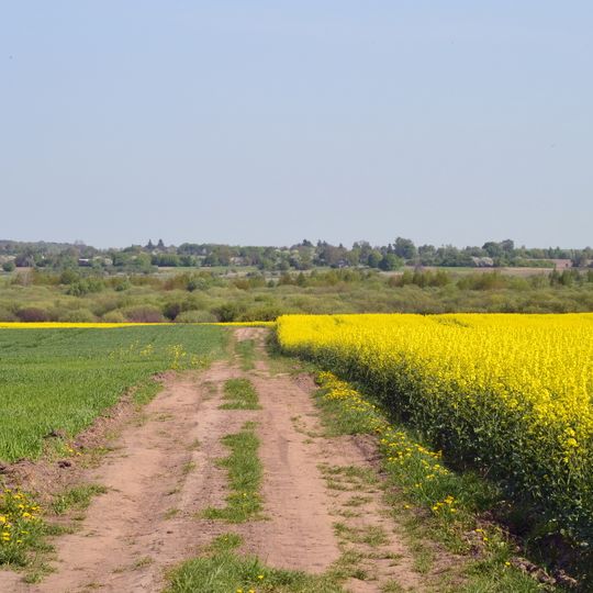 Luha-Rachynska nature reserve