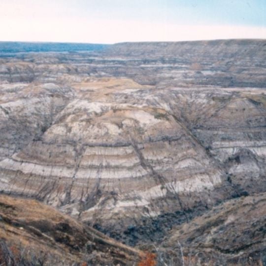 Horseshoe Canyon-formatie