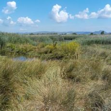 Monumento naturale Palude di Torre Flavia