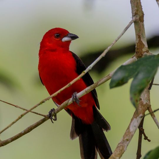 Área de Proteção Ambiental Quilombos do Médio Ribeira