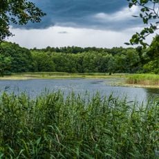 Grumsiner Forst/Redernswalde