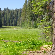 Crescent Meadow