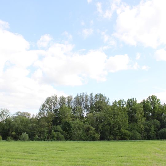 Altwasser der Tauber und Muschelkalkaufschluss östl. Markelsheim Kitzle