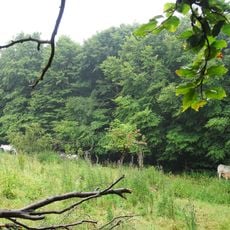 Landschaftsschutzgebiet Medebach