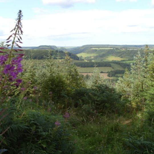 Darncombe-cum-Langdale End