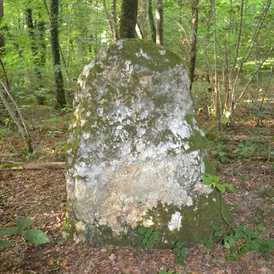 Menhirs de la Mancellière