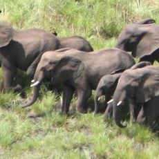 Parc national de Boma