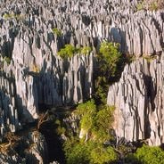 Tsingy de Bemaraha Strict Nature Reserve