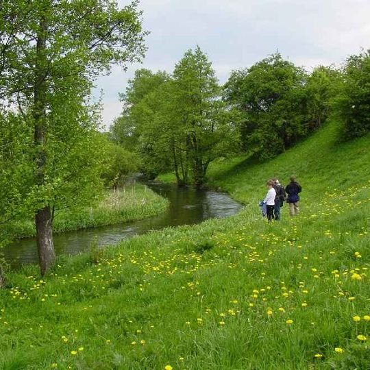 Wierzyca