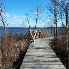 Būšnieku ezera krasts