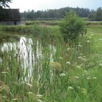 circondario di Tirschenreuth