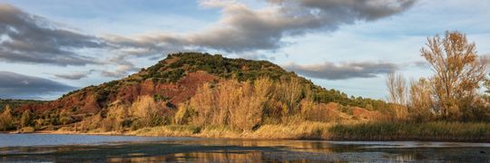 stephanie26 Profile Cover