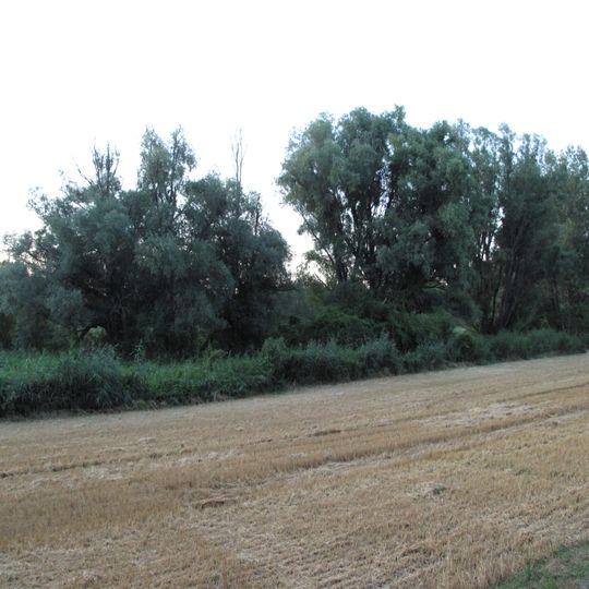 Oleksovická mokřina