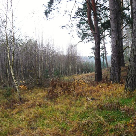 Nature reserve Mszar nad Jeziorem Mnich