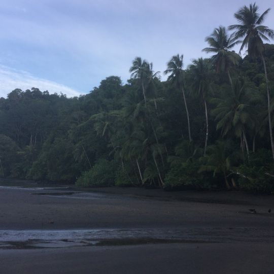 Fundación Santuario Silvestre de Osa