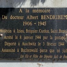Albert Bendrihen