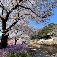 黒保根運動公園