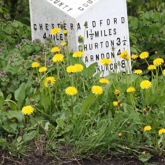 Milepost, Crook of Dee, opp. Cheaveley Hall Cottages, S of Cheaveley Bridge