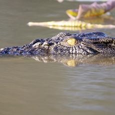 Mary River National Park