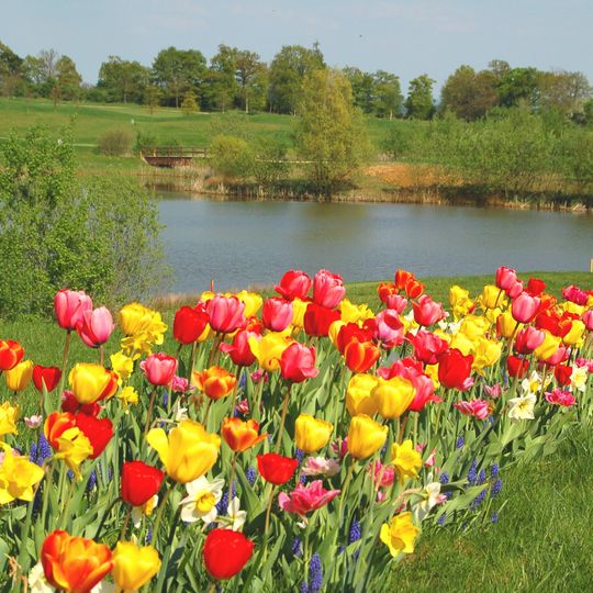 Golf du Château de Preisch