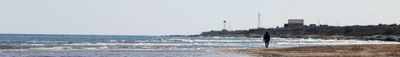 Panoramic View 0