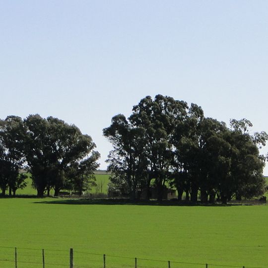 Partido di General La Madrid