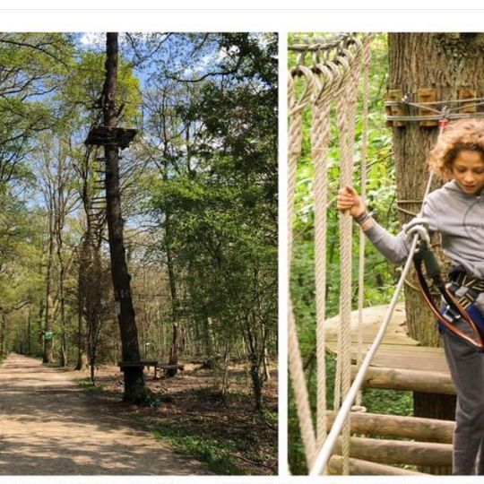 Parc Aventure Plaine Forme