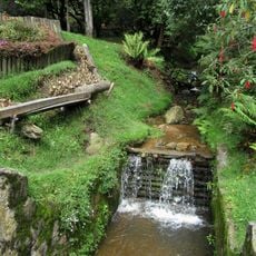 Quebrada La Vieja