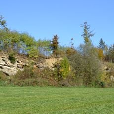 Nagelfluhwand bei Weng