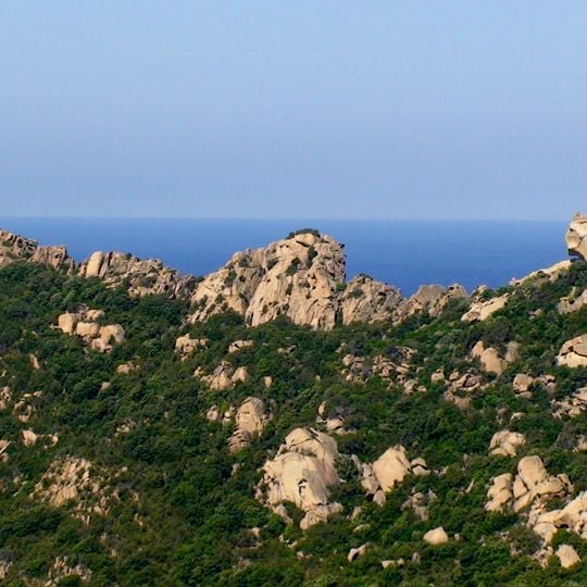 Roccapina Lion