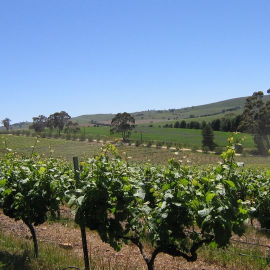 Clare Valley