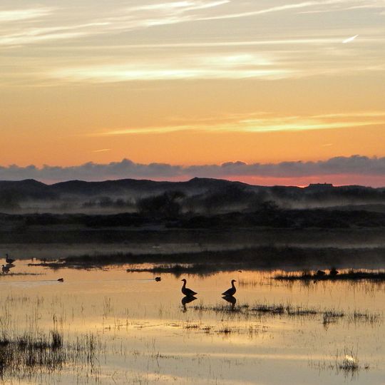 Parco nazionale delle dune di Texel