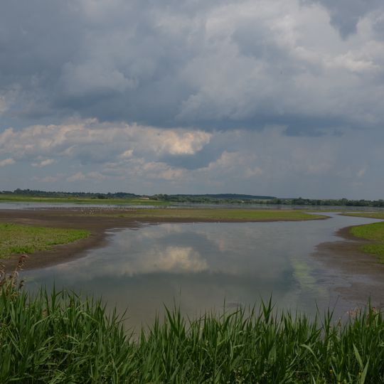 Великоберезнянський заказник