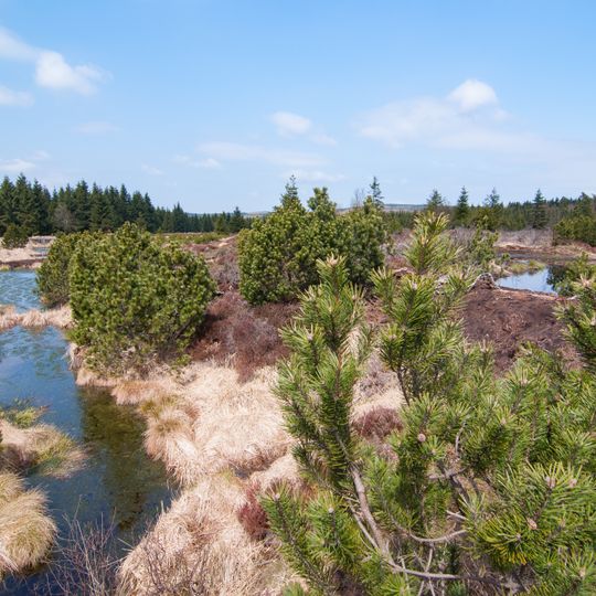 Georgenfelder Hochmoor