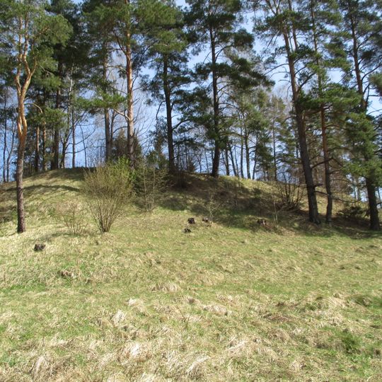 Skosu pilskalns ar apmetni