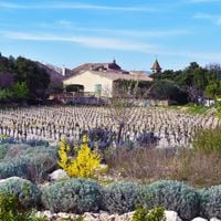 Saint-Jean-de-Minervois