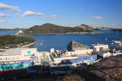 The view 1