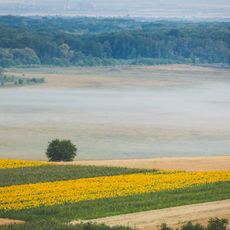 Valea Mare landscape reserve
