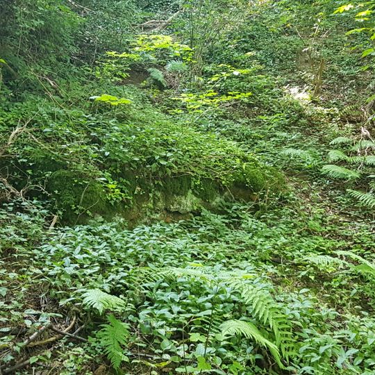 Groeve Pruus Karel I