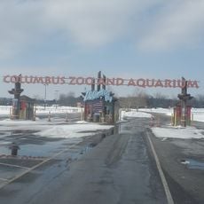 Jungle Jack's Landing