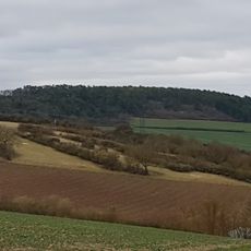 Naturdenkmal Magerrasen Fuchsschwanz