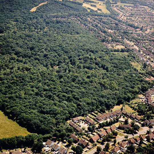 Great Wood and Dodd's Grove