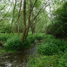 Údolí Bánovského potoka