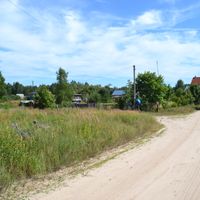 Selyanino (Shatursky District)