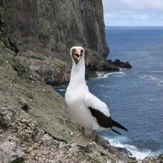 Malpelo Fauna and Flora Sanctuary