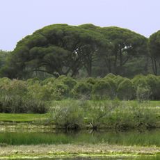 Lamia lagoon