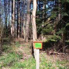 Waldlehrpfad im Waldgebiet Schönert