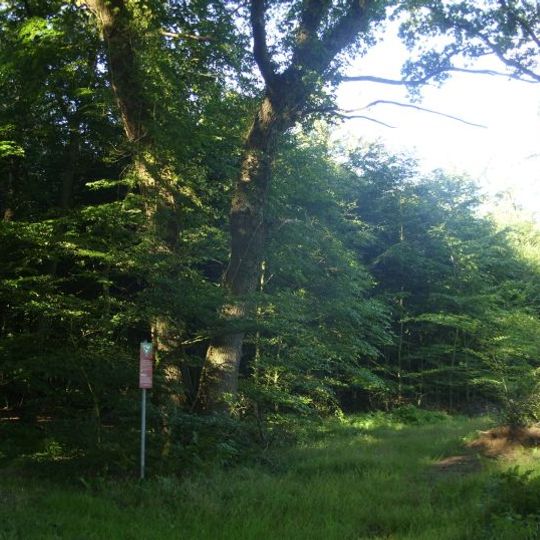 Huuss im Flögelner Holz